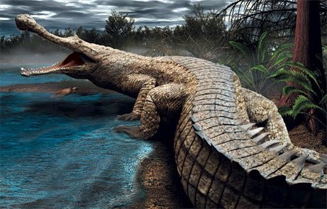 Cá sấu khổng lồ Sarcosuchus Imperator là tổ tiên của loài cá sấu hiện đại, là siêu cá sấu đã từng sinh sống trên Trái đất cách nay 110 triệu năm. So với cá sấu hiện đại, cá sấu tiền sử có hàm dài 1,8m với nhiều răng sắc nhọn.